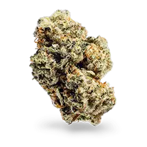 Federalsburg Dispensary – Top Maryland & Delmarva Cannabis Deals